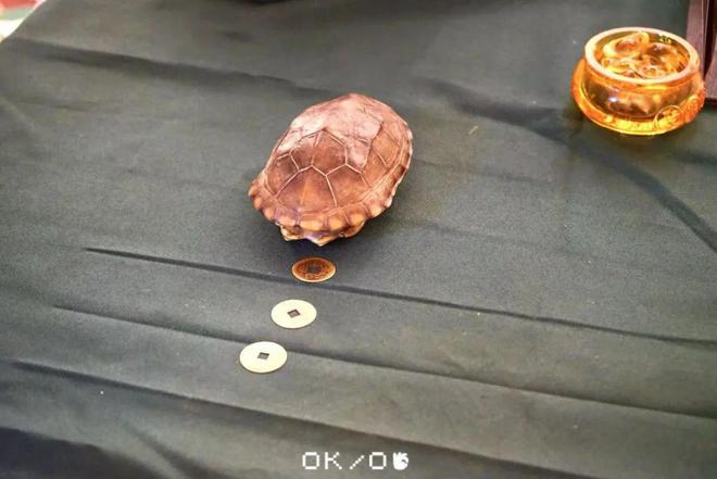 我逛到了超治愈的冬日市集。开元ky棋牌在钱新CBD(图9)